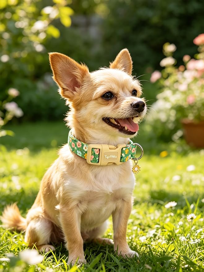 Dog Collars for Medium Dogs, Dog Collar with Floral Patterns Summer Green Dog Collar with Exquisite Pendant, Durable Adjustable Collars Floral Dog Collar Gifts for Medium Large Dogs-M
