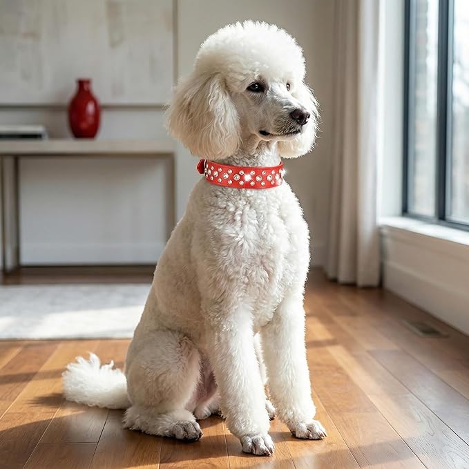 Rhinestone Dog Collar, Bling Rhinestone PU Leather Crystal Diamond Pet Dog Cat Puppy Collar Black S M L XL (XS, Red)