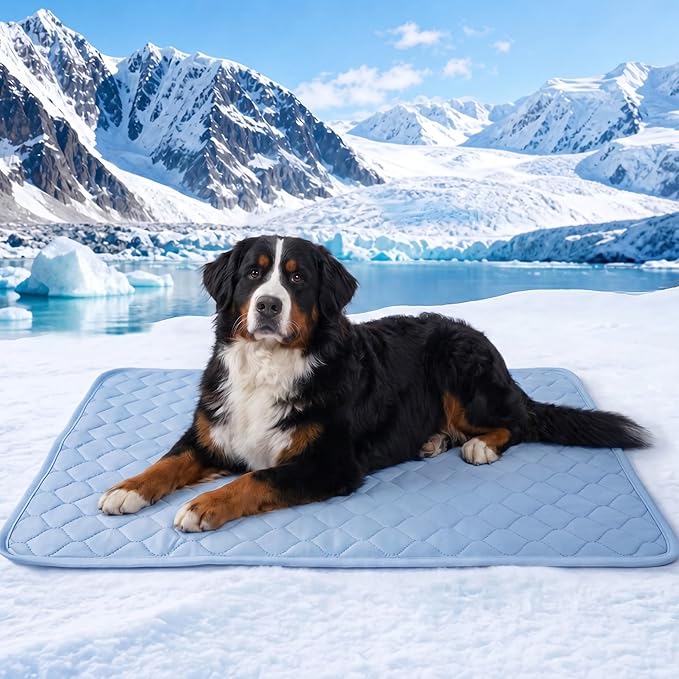 PatiencET Extra Large Dog Cooling Mat, 40 x 50 in XL No-Gel Cooling Pad for Large Dogs, Cool Touch Nylon Pet Mat, Washable Summer Dog Mat for Bed, Floor, Crate, Sofa, Car, Blue