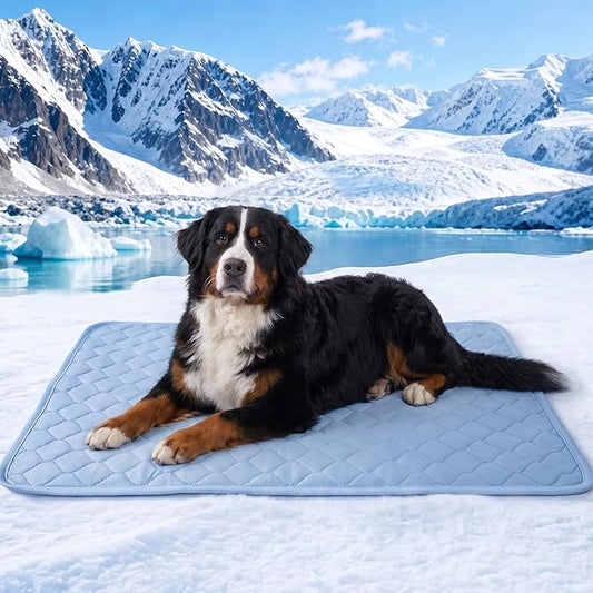 PatiencET Extra Large Dog Cooling Mat, 40 x 50 in XL No-Gel Cooling Pad for Large Dogs, Cool Touch Nylon Pet Mat, Washable Summer Dog Mat for Bed, Floor, Crate, Sofa, Car, Blue
