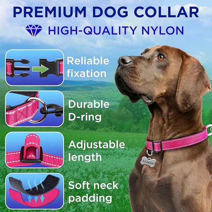 TECEUM Reflective Dog Collar – Hot Pink – M – Extra Soft Padding – Basic Nylon Pet Collar – Quick Release Buckle – Fits Small, Medium and Large Dogs, Puppies, Cats – ESA & Service Dog Options