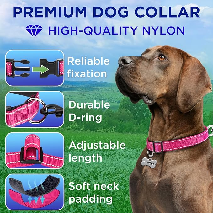 TECEUM Reflective Dog Collar – Hot Pink – S – Extra Soft Padding – Basic Nylon Pet Collar – Quick Release Buckle – Fits Small, Medium and Large Dogs, Puppies, Cats – ESA & Service Dog Options