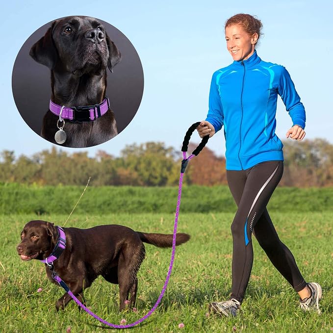 Ladoogo Reflective Dog Collar Padded with Soft Neoprene Breathable Adjustable Nylon Dog Collars for Small Medium Large Dogs (Medium (Pack of 1), Purple Collar+Leash)