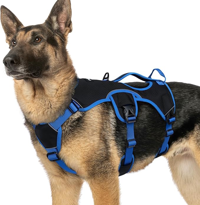 rabbitgoo Escape Proof Dog Harness Large Dogs, Soft Padded Full Body Pet Harness, Reflective Adjustable No Pull Vest with Lift Handle and Leash Clip for Walking Hiking Training, Blue & Black, XL