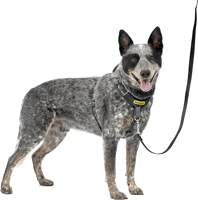 PetSafe Easy Walk Comfort No-Pull Dog Harness Full-Body Padding - Better Walks on the First Use - 5 Points of Adjustment Medium, Black