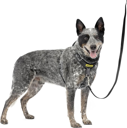 PetSafe Easy Walk Comfort No-Pull Dog Harness Full-Body Padding - Better Walks on the First Use - 5 Points of Adjustment Medium, Black