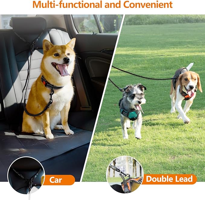 Taglory Double Dog Leash Coupler for Two Dogs, 1/3" Lightweight Dual Leash Extension for Small and Medium Dogs, No Tangle 360° Swivel, Reflective Rope, 30 Inch, Black
