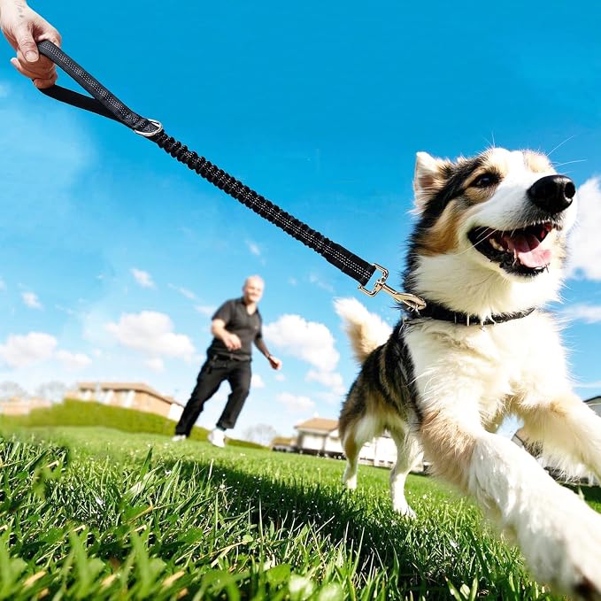 2 FT Bungee Dog Leash, Reflective Strong Nylon Traffic Leash, Short Shock Absorbing Lead for Large Medium Dogs Walking Training Controlling, Black