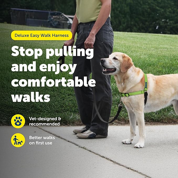 PetSafe Easy Walk Deluxe Dog Harness, No Pull Dog Harness Perfect for Leash & Harness Training Stops Pets from Pulling and Choking on Walks Medium/Large, Apple