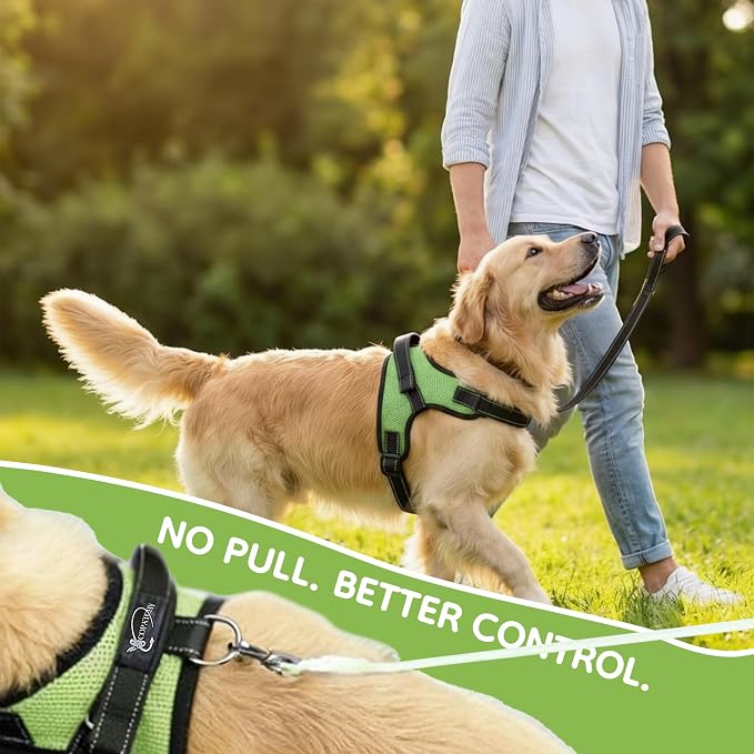 No Pull Reflective Adjustable Dog Harness With Handle- Comfortable Soft All Weather Mesh, Easy On Puppy Harness For Small Medium and Large Dogs (Green) X-Large