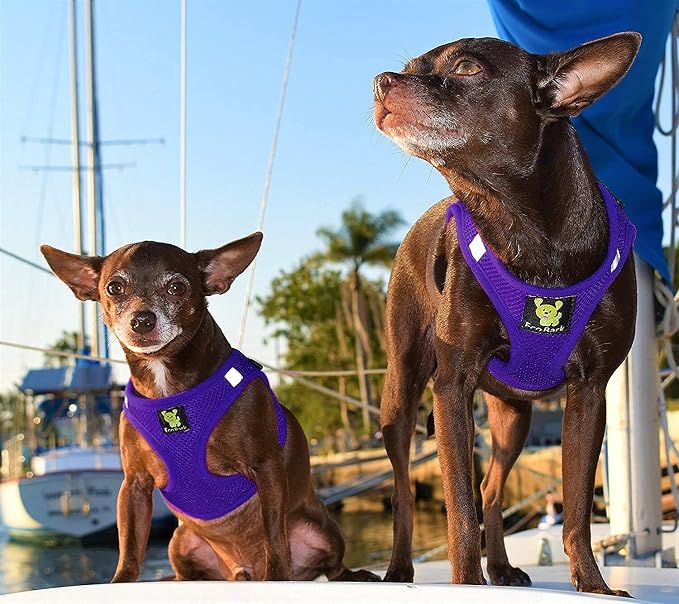 EcoBark Step in Dog Harness - Eco-Friendly Dog Harnesses for Small and Medium Dogs - Reflective and Adjustable Body Halter Vest - Soft Mesh Toy Breed Harness (Purple, Medium)