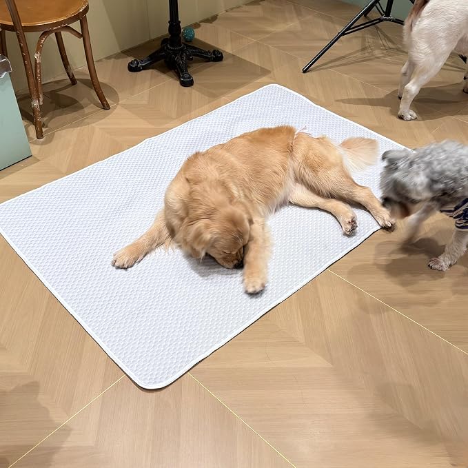 Dog Cooling Mat 60"x40" for Giant Dogs, Q-Max 0.4+ Ice-Silk Fabric, Waterproof & Machine Washable, Non-Slip Portable Pet Cooling Pad for Crate, Indoor & Outdoor Use (XL)