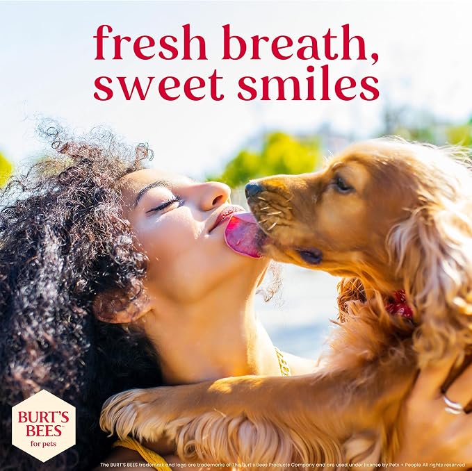 BURT'S BEES FOR PETS Dental Treats for Dogs with Manuka Honey & Ginger, 98% Natural Origin, Holistic Oral Care, Freshens Breath, Sweet Potato Flavor, Small Size, 10 ct, 6.8 Oz