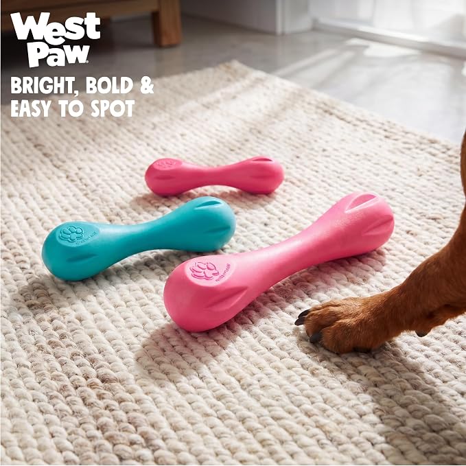 WEST PAW Zogoflex Hurley Dog Bone Chew Toy – Floatable Pet Toys for Aggressive Chewers, Catch, Fetch – Bright-Colored Bones for Dogs – Recyclable, Dishwasher-Safe, Non-Toxic, Small, Teal