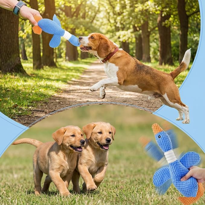 Paw-FECT Piece Goose Squeaky Dog Toy, Plush Chew Toy, Crinkle Wings, Great for All Dog Sizes and Breeds, Interactive and Good for Teething, Blue Dog Duck Toy