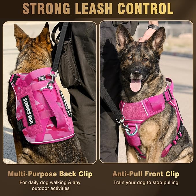 WINSEE Tactical Dog Harness for Medium Dog, Heavy Duty Service Working MOLLE Vest with 10 Pet Patches, 2X Metal Buckle Vest for Training Hunting Walking