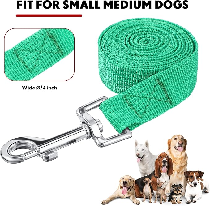 Hillban 12 Pcs Nylon Puppy Training Leash Bulk 5ft Dog Leash for House Line 12 Colors Puppy Line Traction Rope for Small Medium Dog Training, Play, Camping, or Backyard(Bright Colors)