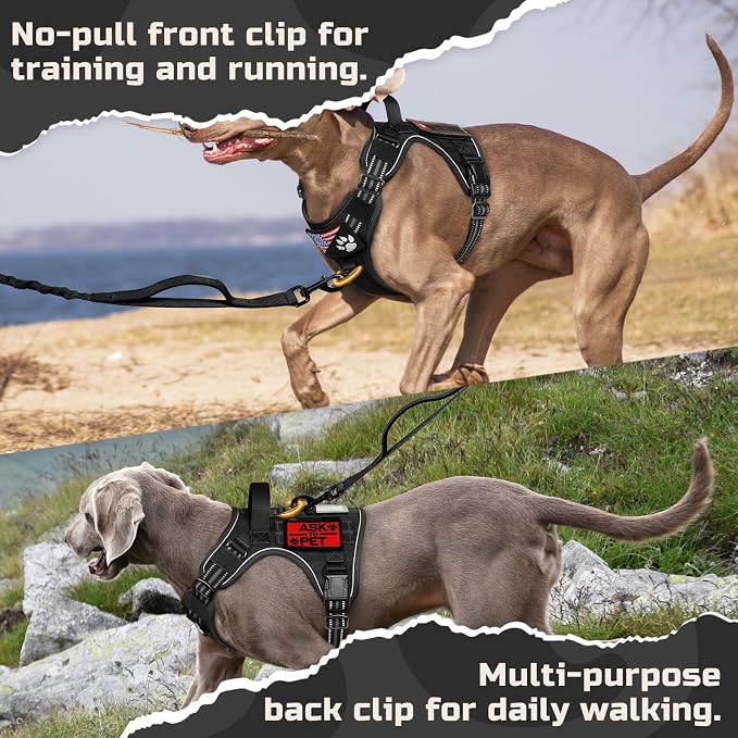 rabbitgoo Tactical Dog Harness for Small Dogs, No Pull Military Service Vest with Handle & Molle, Easy Control for Training Walking, Adjustable Reflective Straps, Black, S