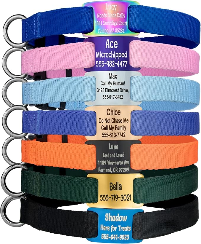 GoTags Personalized Dog ID Tag Collar, Adjustable Nameplate Collar with Custom Engraved Steel Slide On Pet Tag, Silent, No Noise Identification Name Number Many Color Options (Classic, Small)