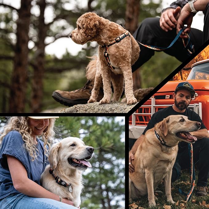 Wolfgang Heavy Duty, Adjustable Dog Collar with Quick Release Nylon Buckle for Walking & Training, Overland Print, Small