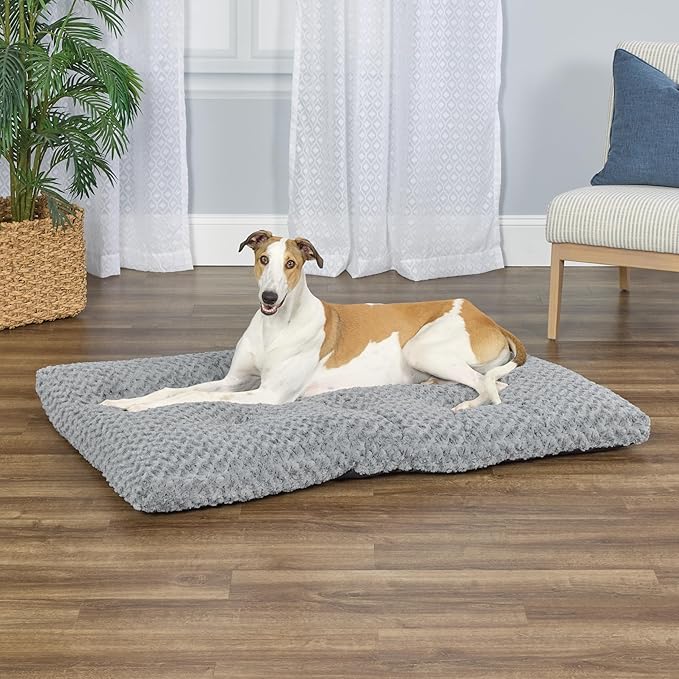 MidWest Homes for Pets Plush Ombe Swirl Dog Bed; Gray 54-Inch for Giant Breeds