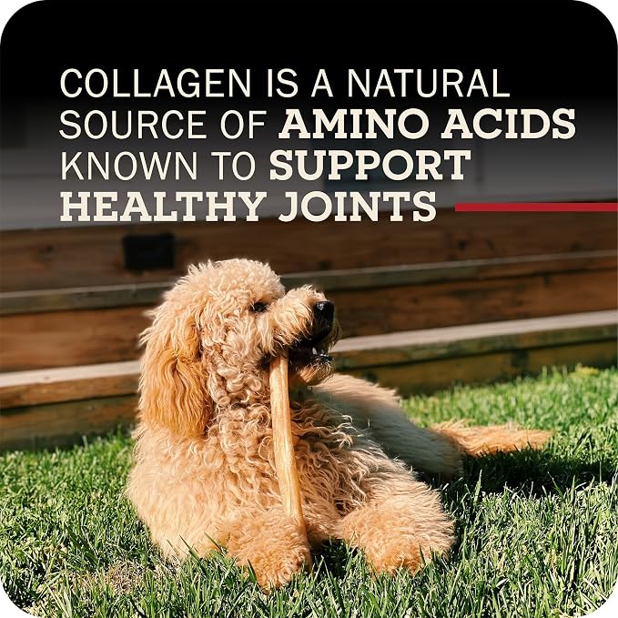 Redbarn Pet Products All-Natural Large 12" Beef Collagen Sticks for Dogs - Long Lasting Low-Odor Alternative to Traditional Rawhide & Bully Sticks - Supports Healthy Joints, Skin, & Coat - 3 Pack