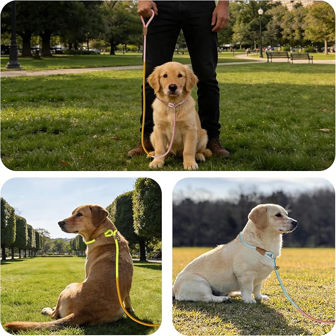 FOVRLZSE 3-Pack Lightweight Adjustable Nylon Dog leashes Leather Buckles Macaron Dog leashes for S/M Dogs,5.2ft Long,White Ultra-Soft eco-Cotton Lining,No Collar Needed