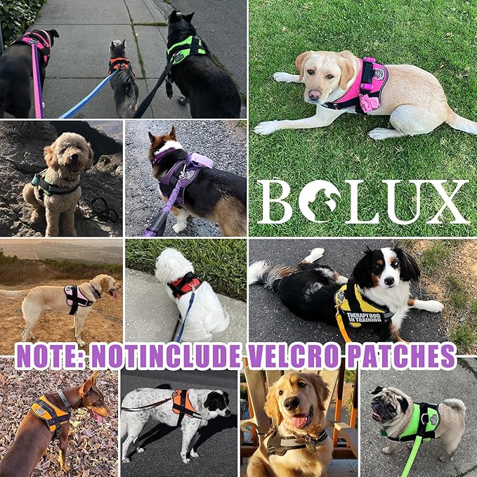Dog Harness, No-Pull Reflective Dog Vest, Breathable Adjustable Pet Harness with Handle for Outdoor Walking - No More Pulling, Tugging or Choking (Lavender, X-Small (Pack of 1))