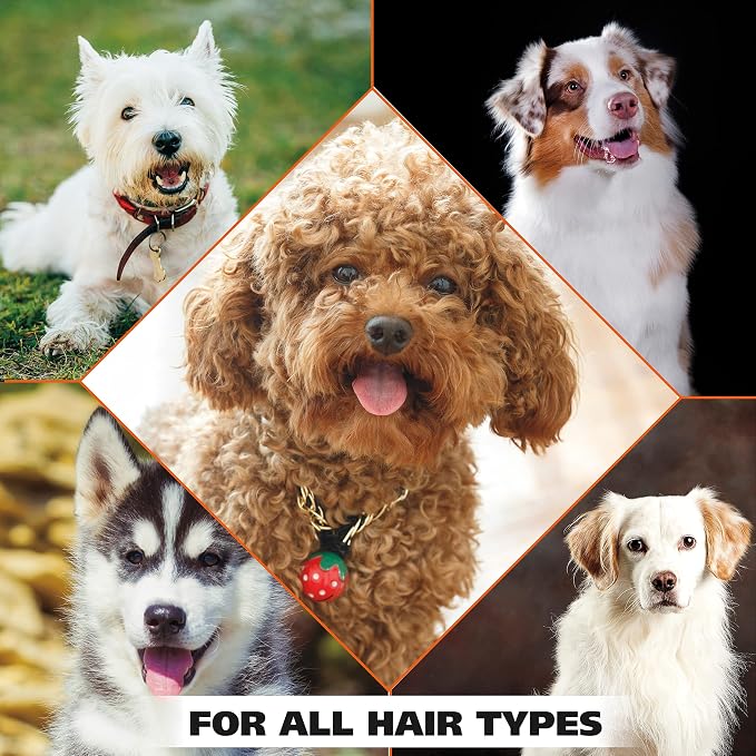 Wahl USA Odor Control Shampoo for Dogs & Pets - Eucalyptus & Spearmint Animal Deodorizer for Cleaning & Freshening – 24 Oz - Model 820003A