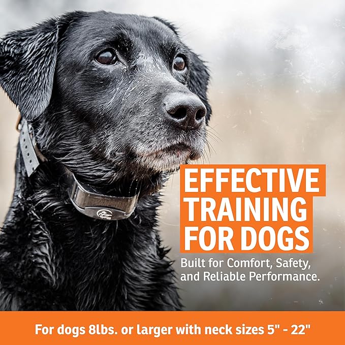 SportDOG YardTrainer 300 Remote Dog Training Collar - 300 Yard Range, 7 Static Levels, Tone & Vibration, DryTek Waterproof, Rechargeable, No-Look Design - Ideal for Yard and Park Training