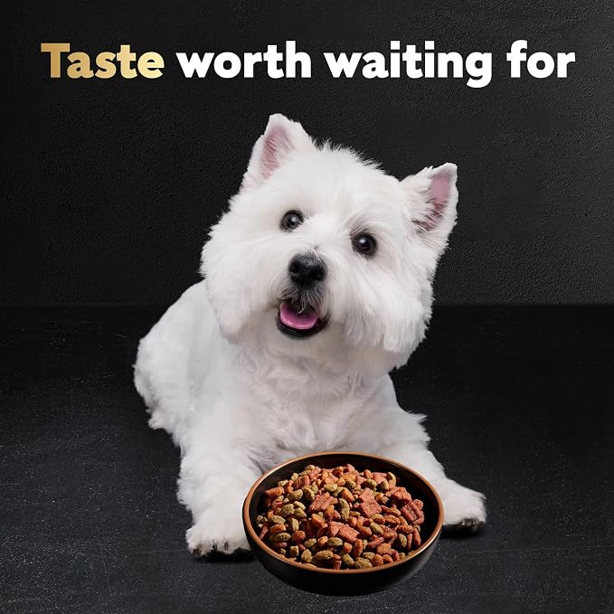 Cesar Small Breed Dry Dog Food for Small Dogs, Rotisserie Chicken Flavor and Spring Vegetables Garnish, 5 lb Bag