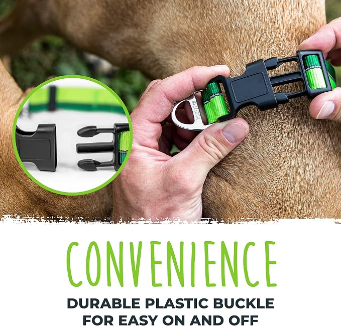Mighty Paw Martingale Dog Collar - Gentle Correction with No More Pulling - Strong 100% Stainless Steel Chain - Weatherproof Won't Rust - Built to Last Premium Quality Nylon - Durable Plastic Buckle