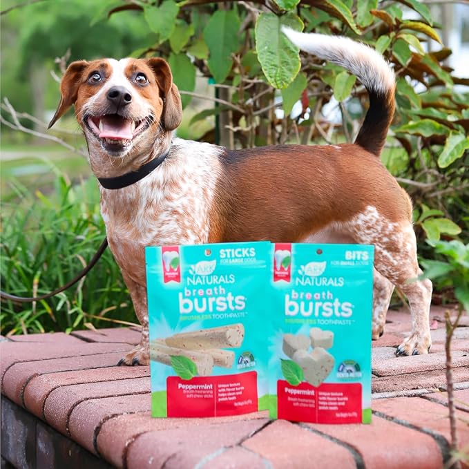 ARK Naturals Breath Bursts Brushless Toothpaste, Dog Dental Sticks for Large Breeds, Unique Texture Helps Clean Teeth & Freshen Breath, Peppermint, 6 oz, 1 Pack