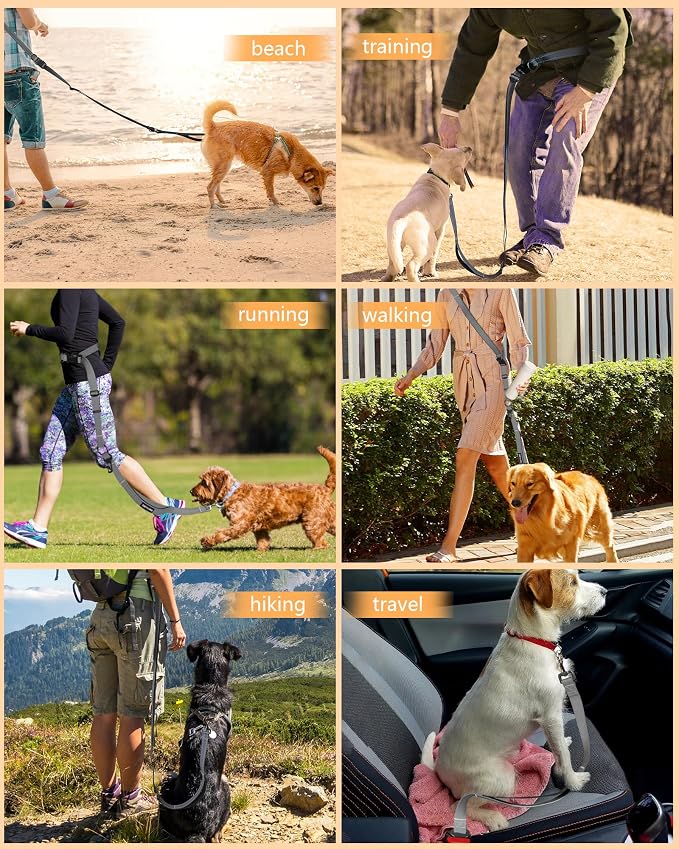Hands Free Dog Leash & Car Seatbelt, 5.9-9.5ft Crossbody Dog Belt with Dual Soft Handles, Shock-Absorbing, 360° Clip, Reflective Design for Walking, Running, Hiking, Travel. (Grey)