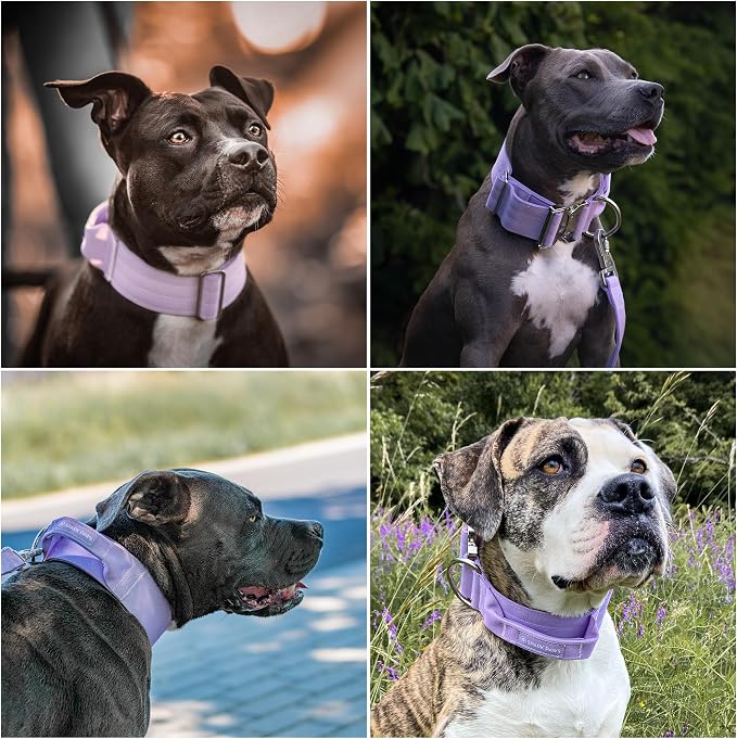 Spark Paws Tactical Dog Collar - Heavy Duty, Premium Quality, Thick and Durable for Large and Medium Dogs - Purple - L