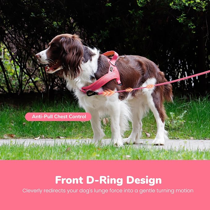 Didog No Pull Dog Harness with Breathable Mesh Padded,Reflective & Quick Fit Light Weight Dog Strap Vest Harness,Easy for Walking Training (S:Chest 18-22", Pink)