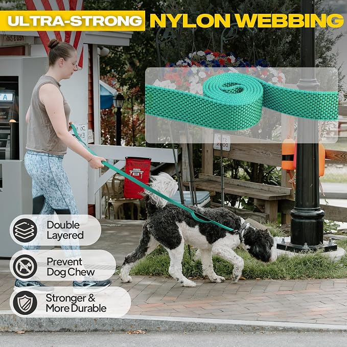 Fida 10ft Heavy Duty Dog Leash with 2 Comfortable Padded Handles, Traffic Handle & Advanced Easy Snap Hook, Reflective Walking Lead for Large, Medium & Small Breed Dogs, Teal