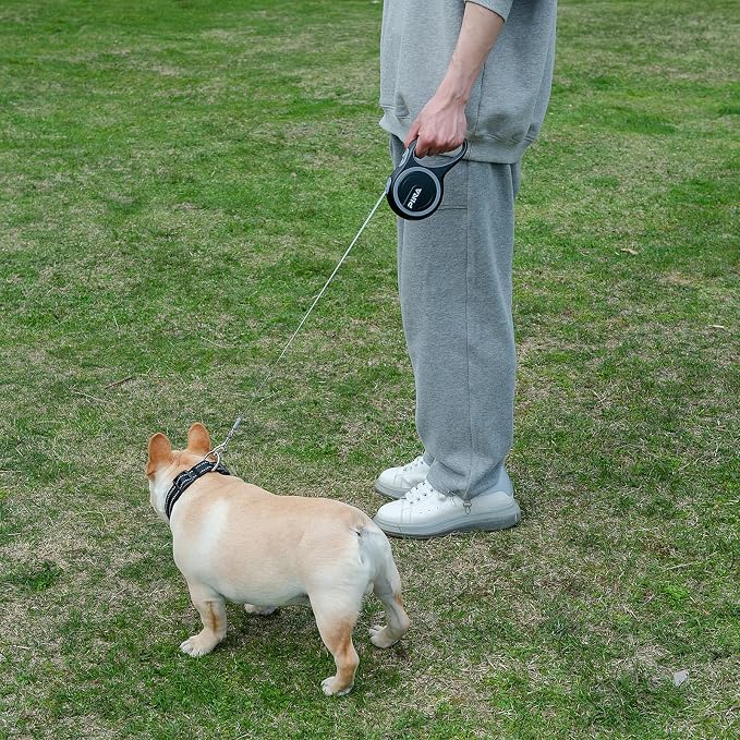 PINA Retractable Dog Leash, 26ft Dog Leash for Small Medium Large Dogs Up to 110lbs, 360° Tangle-Free Strong Reflective Nylon Tape, with Anti-Slip Handle, One-Handed Brake, Lock - Black Gray