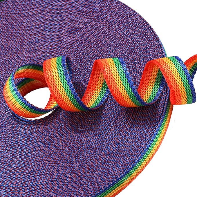 Hi Kiss Dog/Puppy Obedience Recall Training Agility Lead - 15ft 20ft 30ft 50ft 100ft Training Leash - Great for Training, Play, Camping, or Backyard (30 Feet, Rainbow)