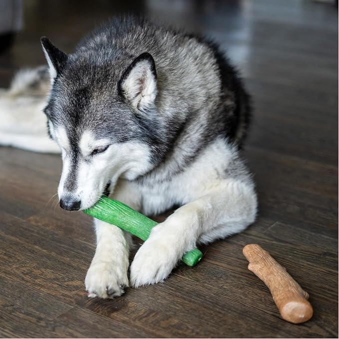 Dogwood Breath Dog Chew Toy – Real-Wood Blend, Moderate Chewers, Large, 8", 2-Pack (Natural & Mint Flavors)
