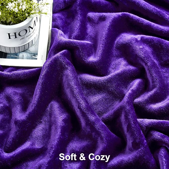 DREAMNINE Pack of 10 Soft Fuzzy Fleece Throw Blanket for Couch Sofa 50" x 60", Decorative Solid Lightweight Velvet Blankets for Chair, Cozy Accent Shaggy Plush Flannel Blanket for Bedroom, Purple