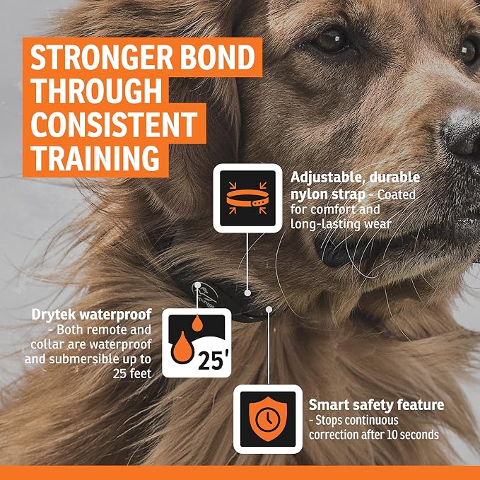 SportDOG YardTrainer 300 Remote Dog Training Collar - 300 Yard Range, 7 Static Levels, Tone & Vibration, DryTek Waterproof, Rechargeable, No-Look Design - Ideal for Yard and Park Training