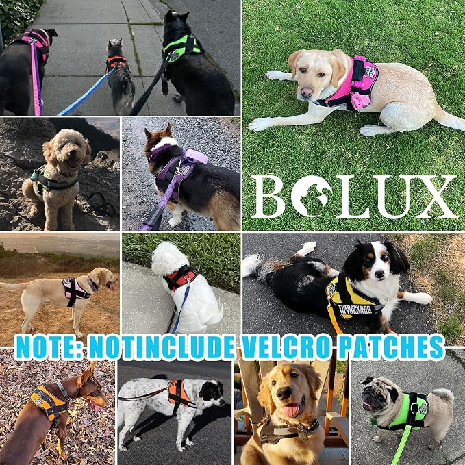 Dog Harness, No-Pull Reflective Dog Vest, Breathable Adjustable Pet Harness with Handle for Outdoor Walking - No More Pulling, Tugging or Choking (OceanicBlue, X-Small (Pack of 1))
