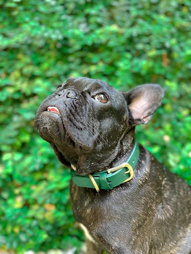 Tuff Pupper Classic Heavy Duty Dog Collar | 10x Stronger Than Leather | 100% Waterproof & Odor Proof Dog Collar | Tough Rust-Proof All Metal Hardware