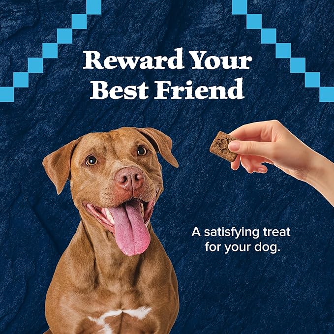 Blue Buffalo Wilderness Trail Treats Turkey Crunchy Dog Biscuits, Grain-Free & High-Protein, Bite-Sized Training Treats Made with Real Turkey & Natural Ingredients, 36-oz Bag