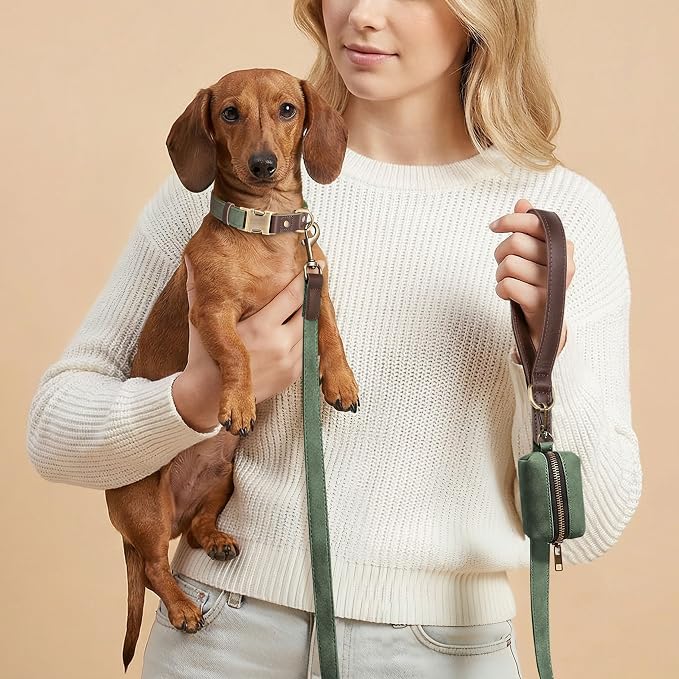Didog Soft PU Leather Dog Collars for Small Dogs,Classic Adjustable Dog Collars with Quick Release Metal Buckle,Easy Clean and Comfortable with Nylon Lining,Green,S Neck 11-15"
