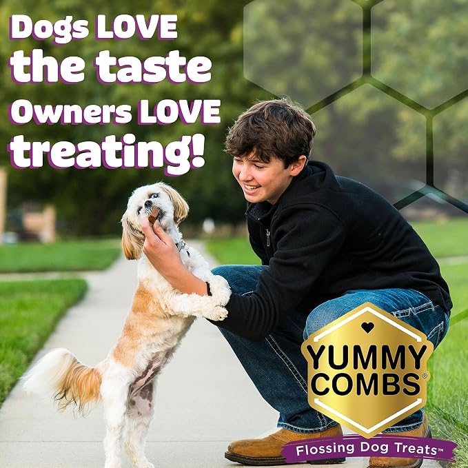 Yummy Combs Dog Dental Treats – Vet VOHC Approved – Delicious Chicken Protein – Removes Tartar with Cleaning Comb Shape – Dental Dog Treats for Extra Small Dogs (24oz, 96 Count)