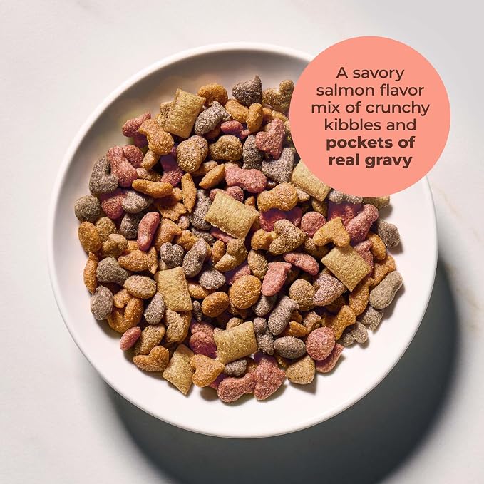 Meow Mix Gravy Bursts, Savory Salmon Flavor Kibble Mix, Gravy Filled Dry Cat Food, 3 lb. Bag