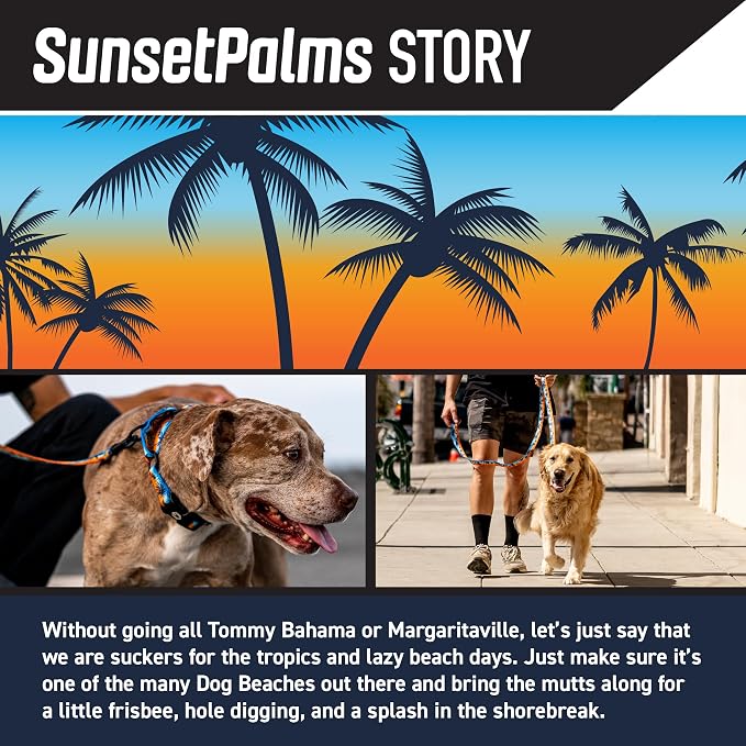 Wolfgang Heavy Duty, Adjustable Dog Collar with Quick Release Nylon Buckle for Walking & Training, SunsetPalms Print, Small