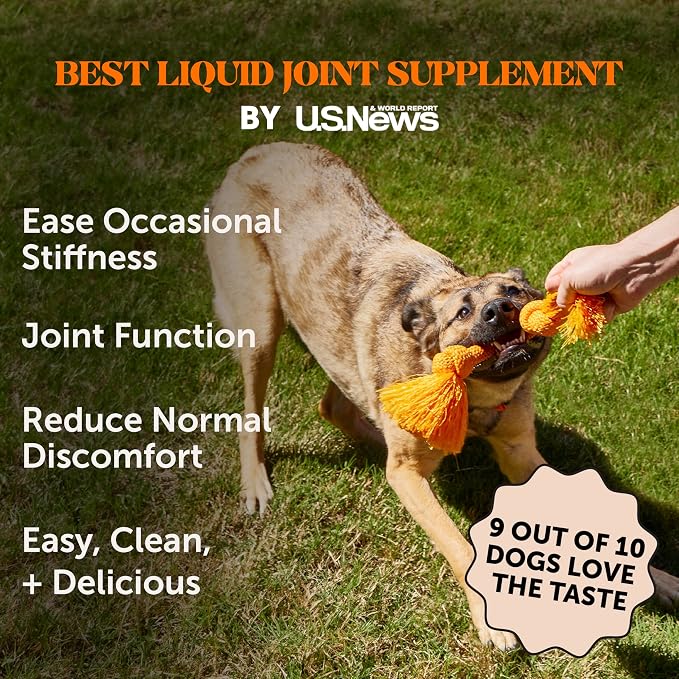 Dog Hip and Joint Supplement Liquid - Glucosamine Chondroitin MSM Bone Broth for Dogs Food Topper - Advanced Mobility Support Oil Eases Stiffness and Joint Discomfort in Large and Senior Dogs (12oz)